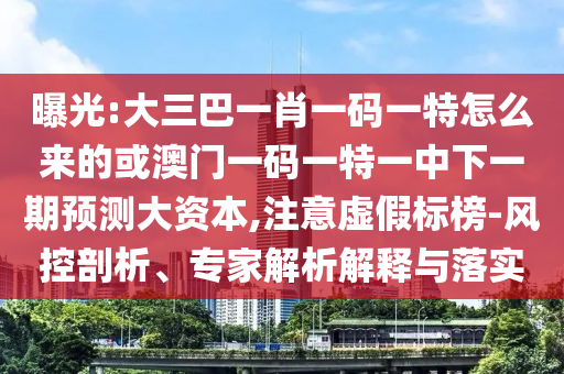曝光:大三巴一肖一碼一特怎么來的或澳門一碼一特一中下一期預測大資本,注意虛假標榜-風控剖析、專家解析解釋與落實