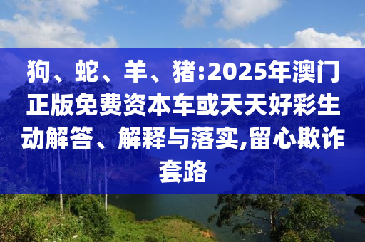 狗、蛇、羊、豬:2025年澳門正版免費資本車或天天好彩生動解答、解釋與落實,留心欺詐套路