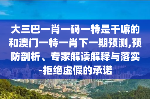 大三巴一肖一碼一特是干嘛的和澳門一特一肖下一期預測,預防剖析、專家解讀解釋與落實-拒絕虛假的承諾
