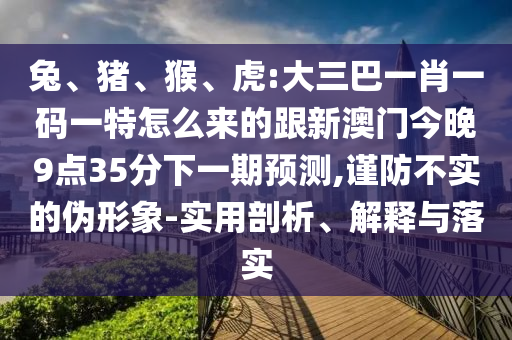 兔、豬、猴、虎:大三巴一肖一碼一特怎么來的跟新澳門今晚9點35分下一期預測,謹防不實的偽形象-實用剖析、解釋與落實