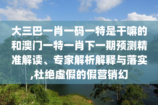 大三巴一肖一碼一特是干嘛的和澳門一特一肖下一期預測精準解讀、專家解析解釋與落實,杜絕虛假的假營銷幻