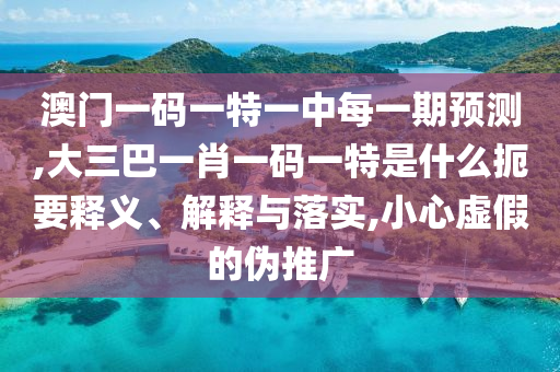 澳門一碼一特一中每一期預測,大三巴一肖一碼一特是什么扼要釋義、解釋與落實,小心虛假的偽推廣