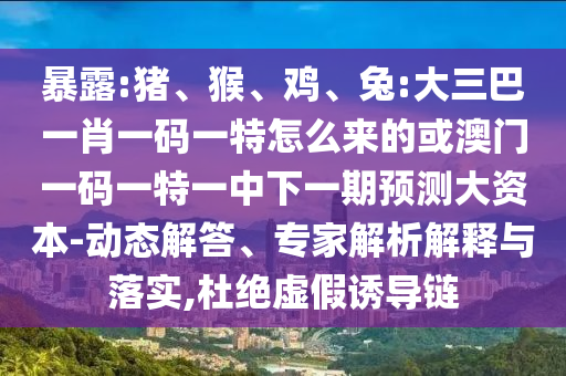 暴露:豬、猴、雞、兔:大三巴一肖一碼一特怎么來的或澳門一碼一特一中下一期預測大資本-動態解答、專家解析解釋與落實,杜絕虛假誘導鏈