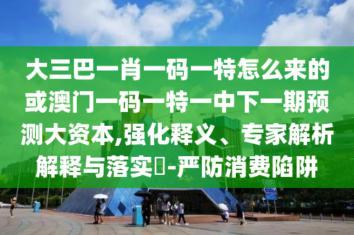 大三巴一肖一碼一特怎么來的或澳門一碼一特一中下一期預(yù)測大資本,強化釋義、專家解析解釋與落實?-嚴防消費陷阱