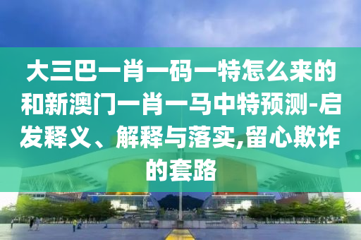 大三巴一肖一碼一特怎么來的和新澳門一肖一馬中特預(yù)測-啟發(fā)釋義、解釋與落實(shí),留心欺詐的套路