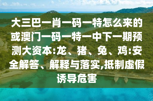 大三巴一肖一碼一特怎么來的或澳門一碼一特一中下一期預(yù)測大資本:龍、豬、兔、雞:安全解答、解釋與落實(shí),抵制虛假誘導(dǎo)危害